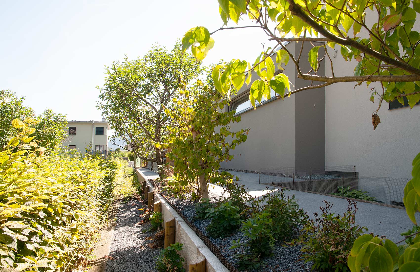 adrian-giger-chaschtli-gartengestaltung-gartenbau-3