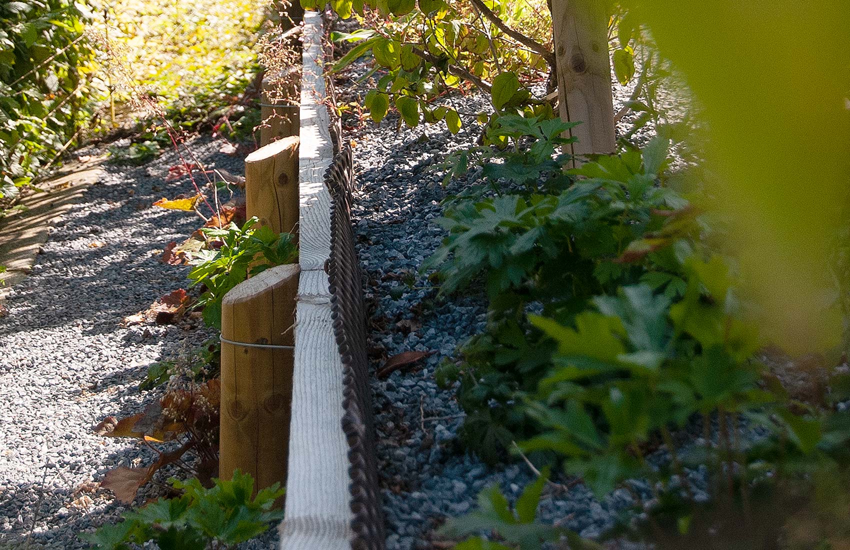 adrian-giger-chaschtli-gartengestaltung-gartenbau-4