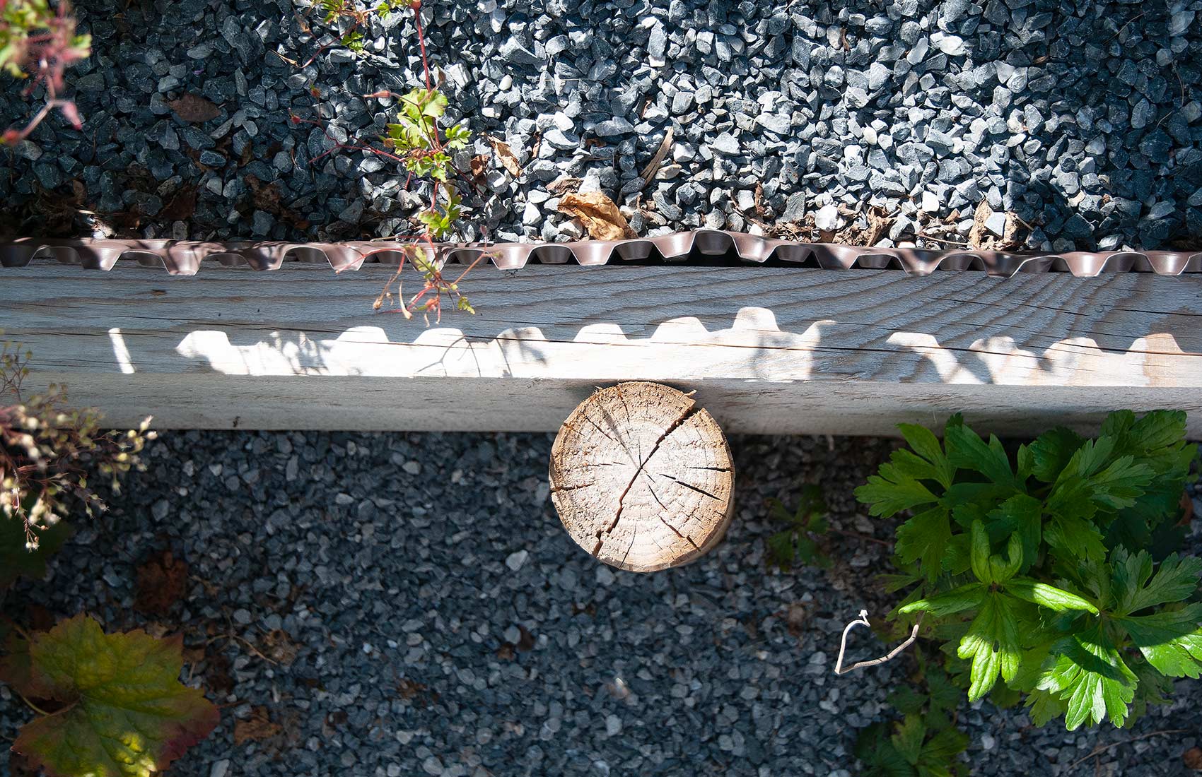 adrian-giger-chaschtli-gartengestaltung-gartenbau-5